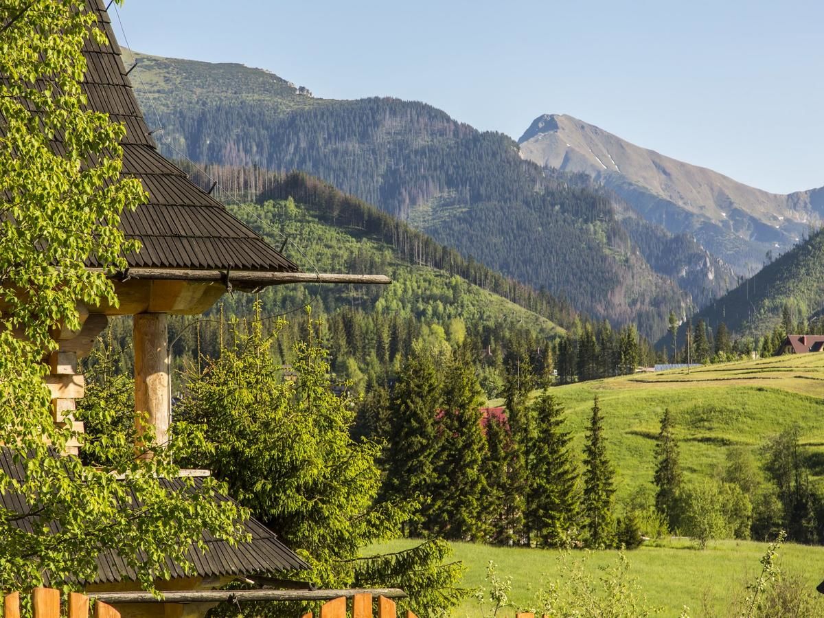 Шале TatryTop Rezydencja Dolisiówka SPA Косцелиско